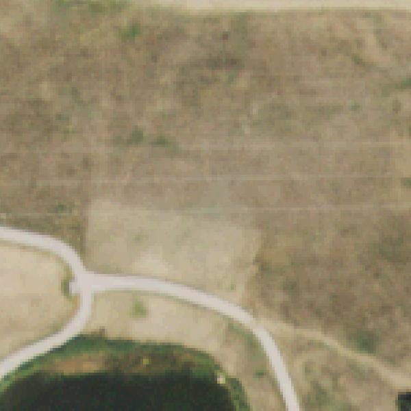 Aerial photo of Roxborough Community Park