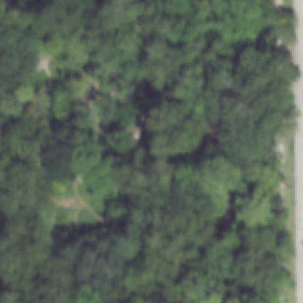 Aerial photo of Russ Pitman Park