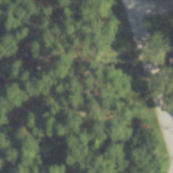 Aerial photo of Rustling Elms Park
