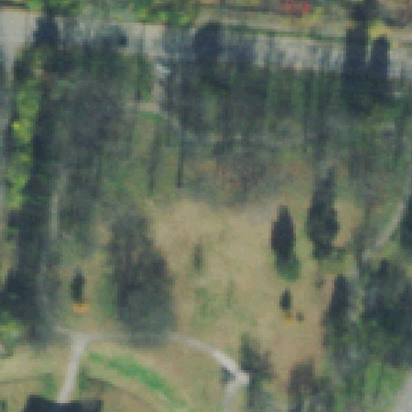 Aerial photo of Sally Beaman Park