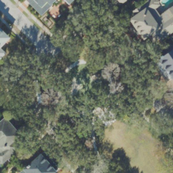 Aerial view of Savannah Square Celebration