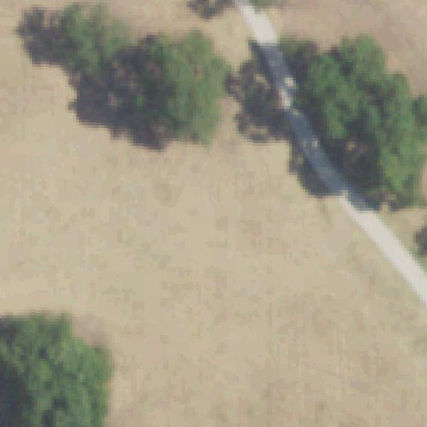 Aerial view of Senter East Park