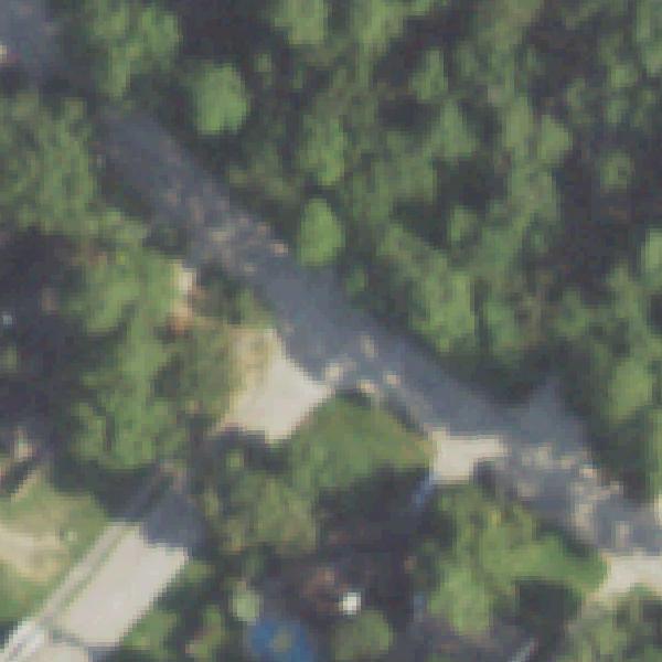 Aerial photo of Settegast Park