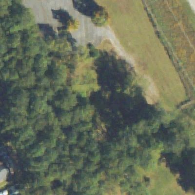 Aerial view of Singleton Park
