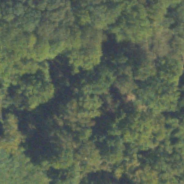 Aerial view of South Bend Park