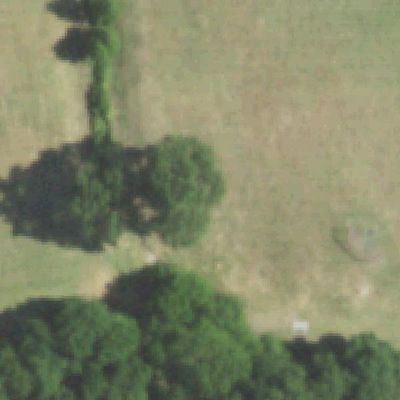 Aerial view of Steeplechase Park