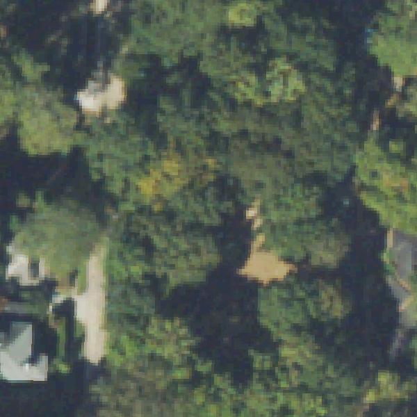 Aerial view of Sunken Garden Park