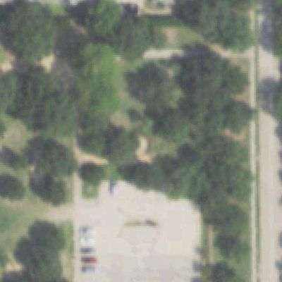 Aerial photo of Tagore Memorial Grove