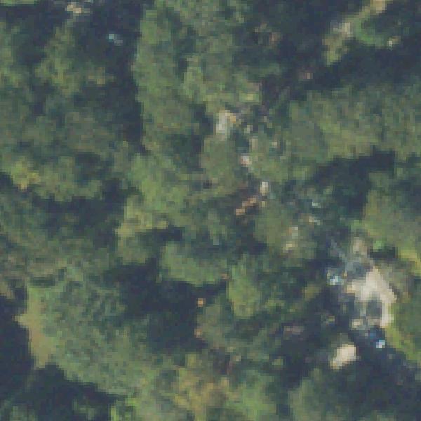 Aerial view of Tanyard Creek Park