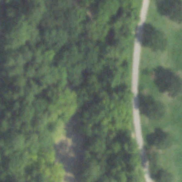 Aerial photo of Terry Hershey Park