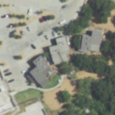 Aerial photo of The Shacks Dining & Dog Park