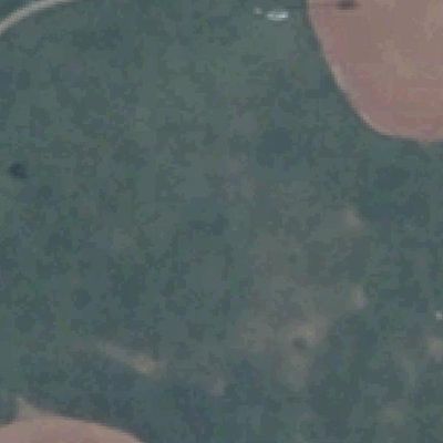 Aerial photo of The Willows Park & Pool