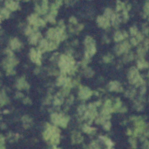 Aerial photo of Tidwell Park