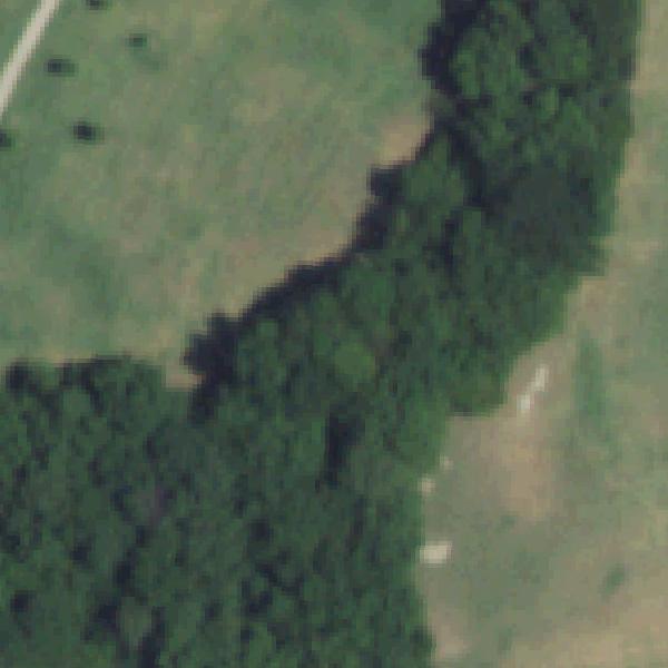 Aerial view of Timber Brook Park