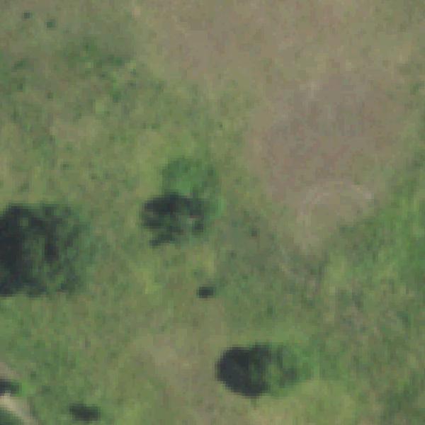 Aerial view of Tokalon Park