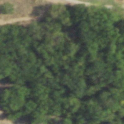 Aerial view of Treepoint Park