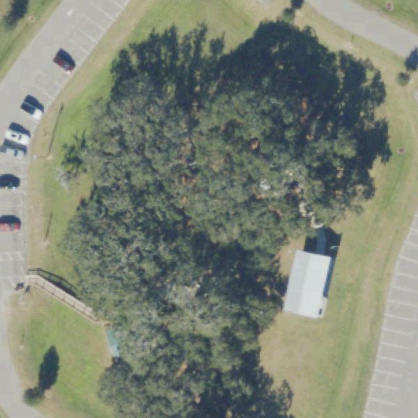 Aerial view of Tucker Ranch Recreation and Nature Complex