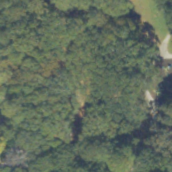 Aerial view of Tullwater Park