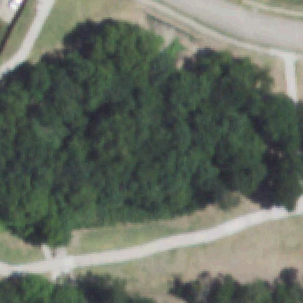 Aerial view of Twin Lakes Park