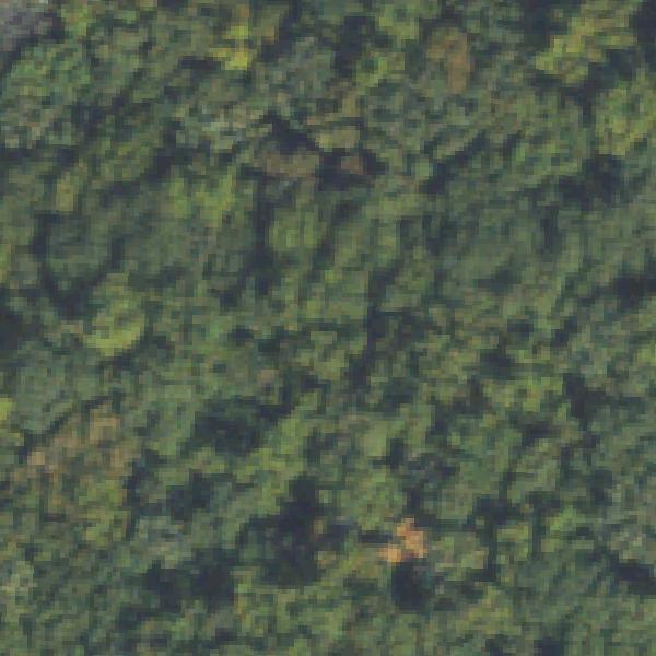 Aerial view of W. D. Thomson Park