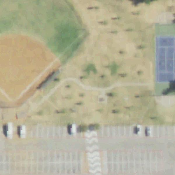 Aerial view of Walnut Hill Park