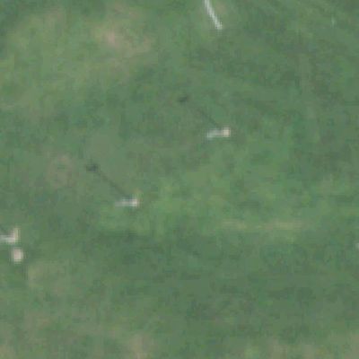 Aerial photo of Walter Jones Park
