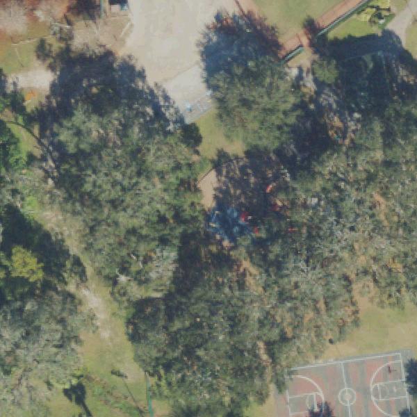 Aerial view of Ward Park Playground