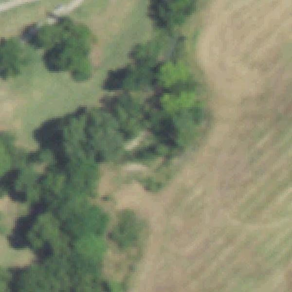 Aerial view of Ward Steenson Greenbelt