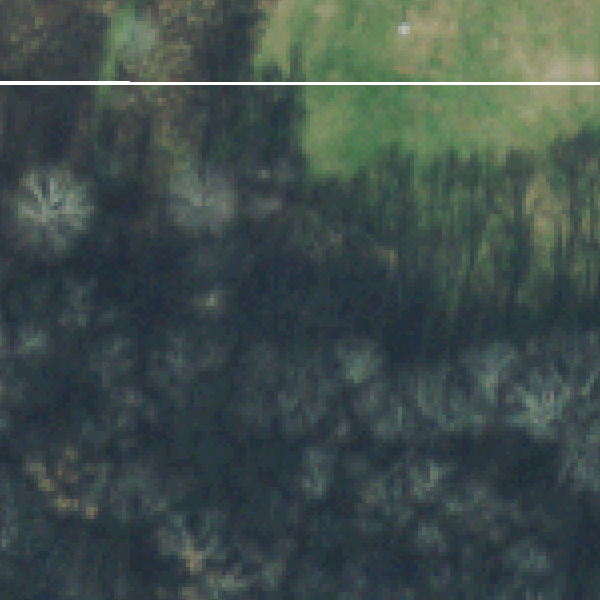 Aerial photo of Warner Park Nature Center