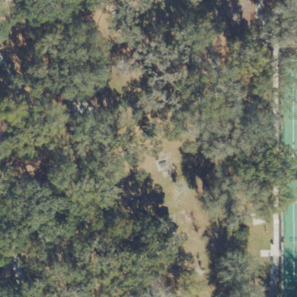 Aerial photo of Warren Park