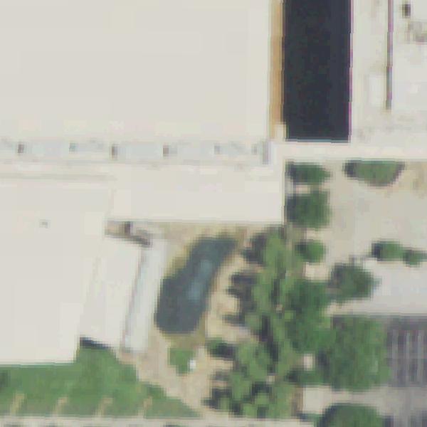 Aerial view of Watermark Tree Fort