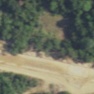 Aerial view of Watson Branch Park