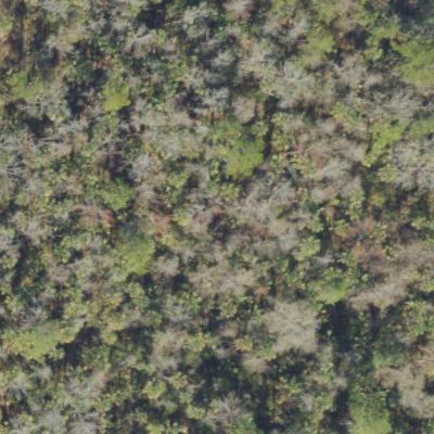 Aerial photo of Wekiwa Springs State Park