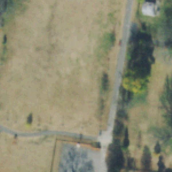 Aerial photo of William Edmondson Homesite Park & Gardens