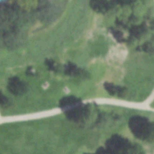 Aerial photo of Wilson Memorial Park