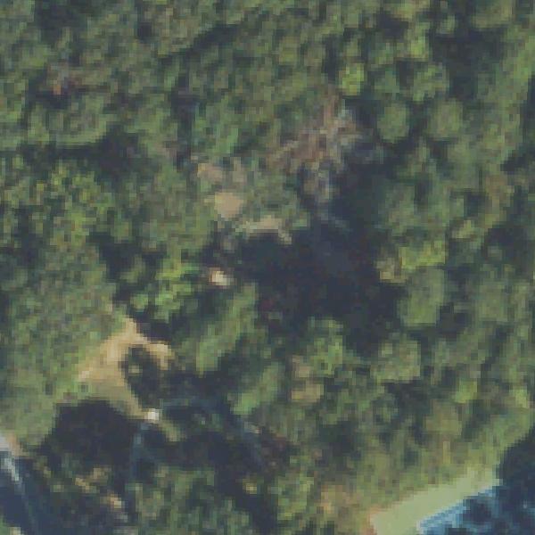Aerial view of Windwood Hollow Park