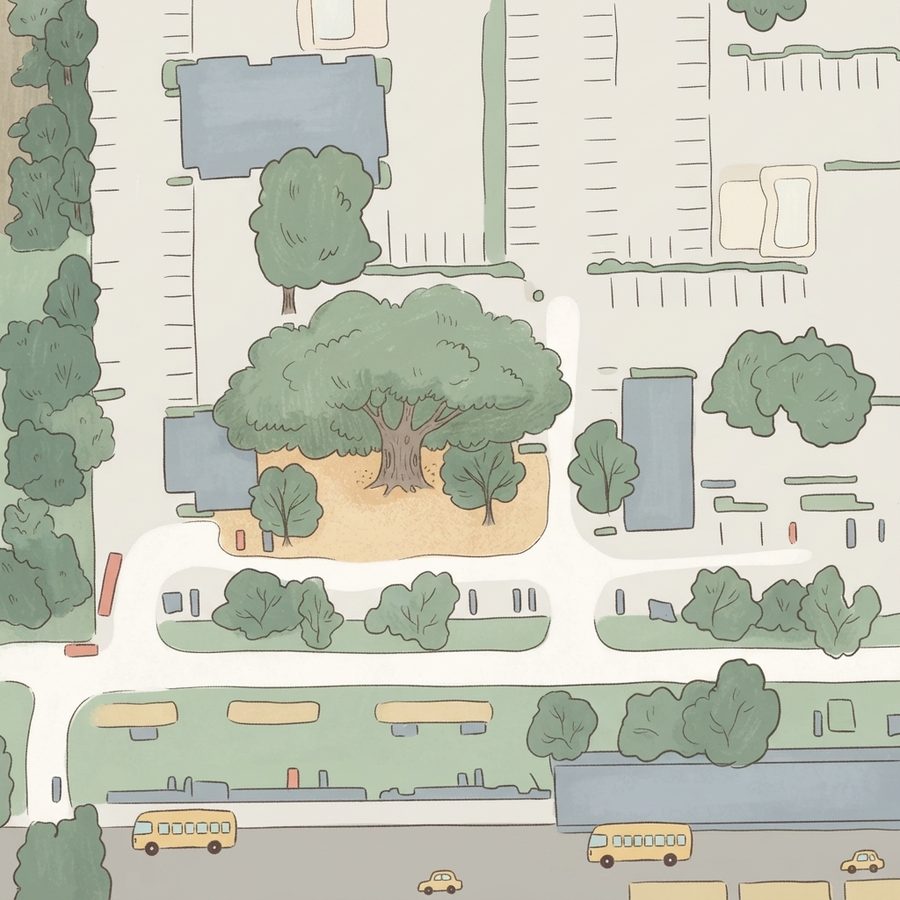 Illustrated map of Nr creaciones