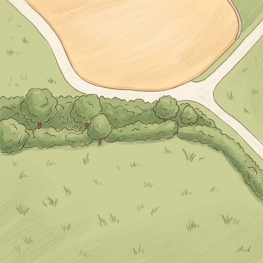 Illustrated map of Windy Plumes Park